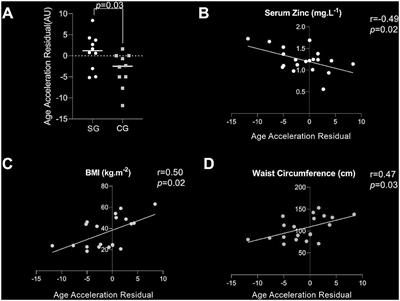 Novel Zinc-Related Differentially Methylated Regions in Leukocytes of Women With and Without Obesity